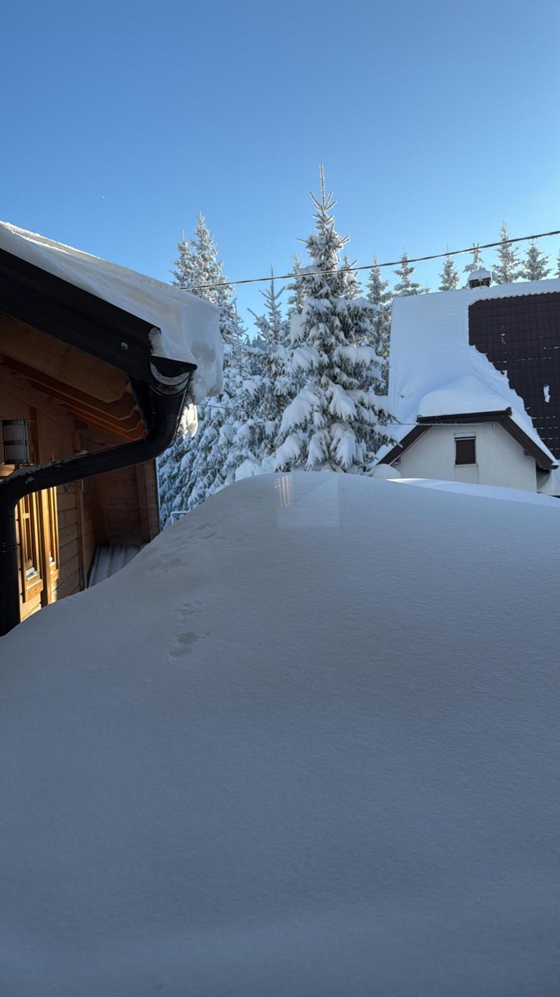 Guest House Alpha Ski Camp Яхорина Экстерьер фото